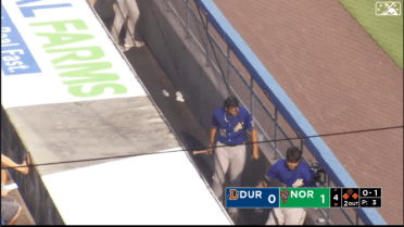 Bulls' Honeywell snags bat in dugout