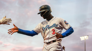 Sod Poodles Head Into Postseason With 11-5 Win