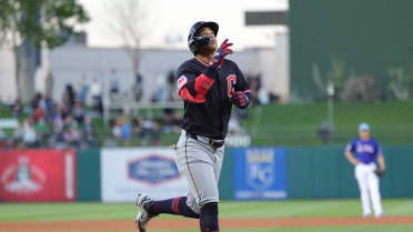 No. 10 prospect Brito out 8-12 weeks after thumb surgery